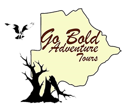 goboldsafaris-Logo